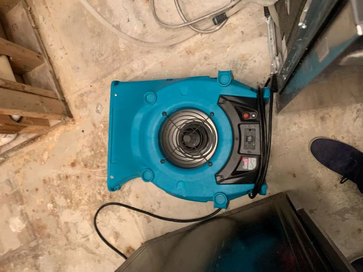 Air mover drying equipment for Mold Remediation & Removal in West Cocalico